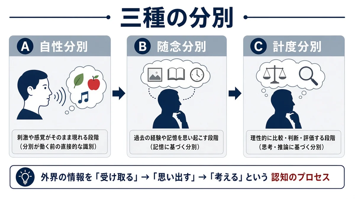 三種の分別の要点をまとめた図