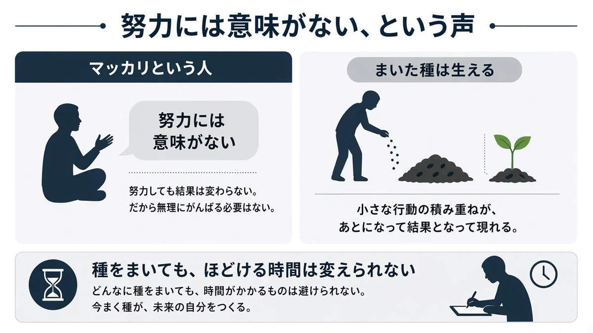 努力には意味がない、という声とマッカリという人の関係を示す図