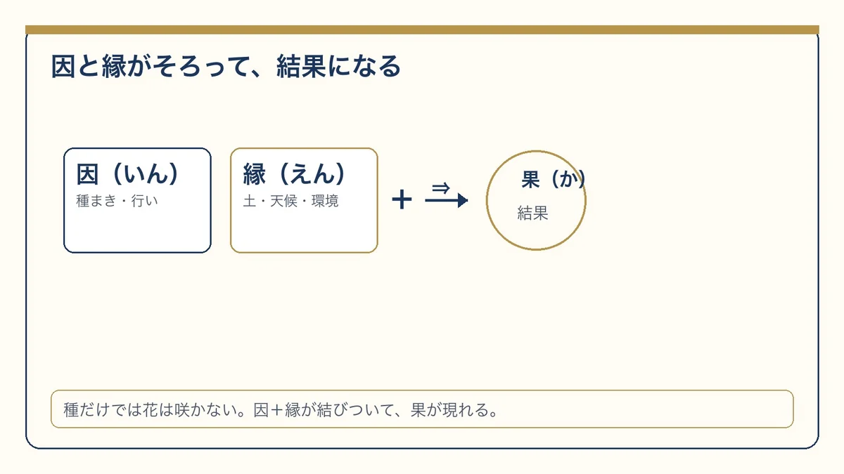 因と縁がそろって結果になる。種だけでは花は咲かない